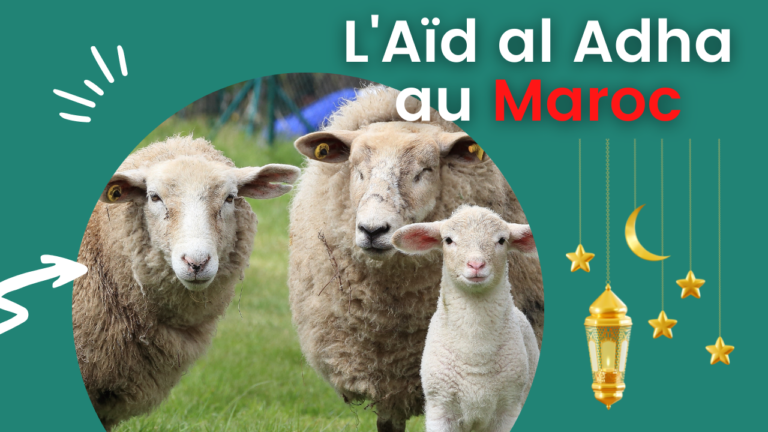 L’Aïd al Adha au Maroc – 6 choses que vous ne verrez pas en France